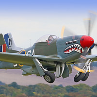 Buy canvas prints of Mustang Scramble - Duxford 2 Crop by Colin Williams Photography