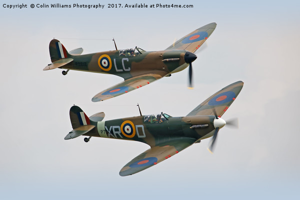 Twin Spitfires Picture Board by Colin Williams Photography