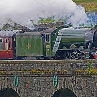 Buy canvas prints of Flying Scotsman At The Ribblehead Viaduct 4 by Colin Williams Photography