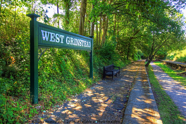West Grinstead Railway Station 2 Picture Board by Colin Williams Photography