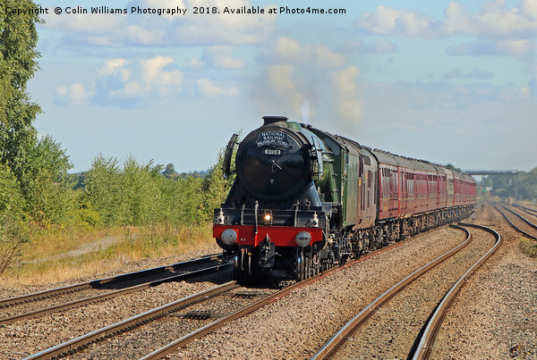 The Flying Scotsman At Church Fenton 1 Picture Board by Colin Williams Photography