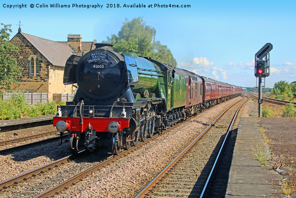 The Flying Scotsman At Church Fenton 2 Picture Board by Colin Williams Photography