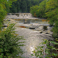 Buy canvas prints of Upper Falls Aysgarth 2018 - 2 by Colin Williams Photography