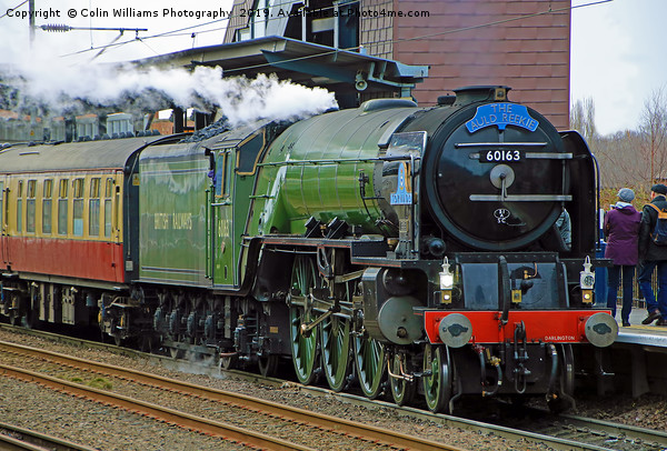 Tornado 60163 At Westfield Westgate 03.03.2019 Picture Board by Colin Williams Photography