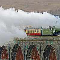 Buy canvas prints of Tornado 60163 Crossing The Ribblehead Viaduct - 1 by Colin Williams Photography