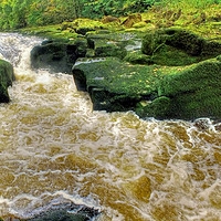 Buy canvas prints of The Strid  Bolton Abbey by Colin Williams Photography