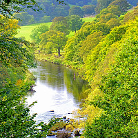 Buy canvas prints of The River Wharfe Bolton Abbey - 2 by Colin Williams Photography