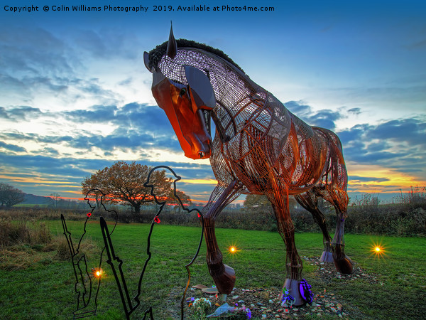 The Featherstone War Horse Picture Board by Colin Williams Photography