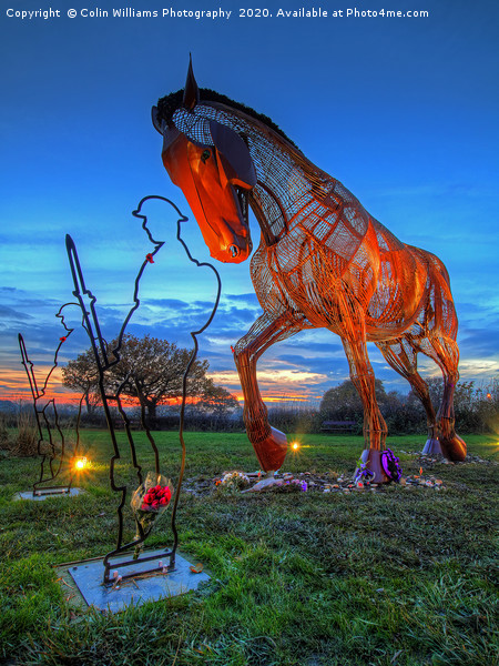 The Featherstone War Horse - 2 Picture Board by Colin Williams Photography