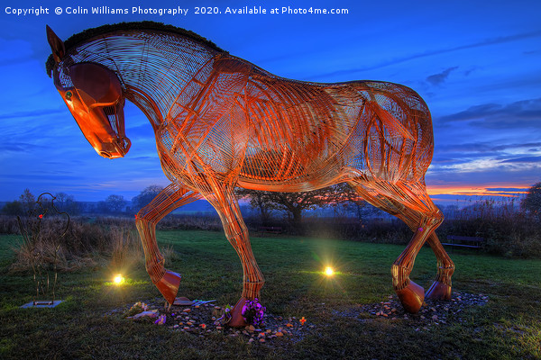 The Featherstone War Horse - 3 Picture Board by Colin Williams Photography