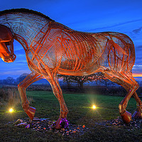 Buy canvas prints of The Featherstone War Horse - 3 by Colin Williams Photography