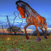 Buy canvas prints of The Featherstone War Horse and A Ghostly Field of  by Colin Williams Photography