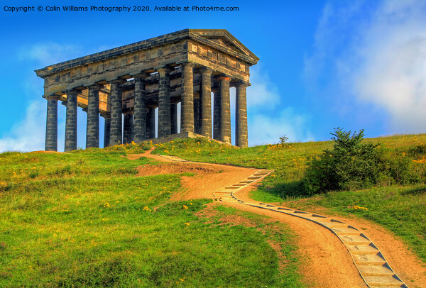 Penshaw Monument   Picture Board by Colin Williams Photography