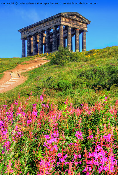 Penshaw Monument  2 Picture Board by Colin Williams Photography