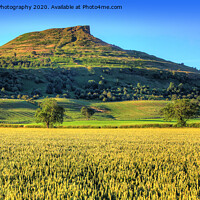 Buy canvas prints of Roseberry Topping North Yorkshire 3 by Colin Williams Photography