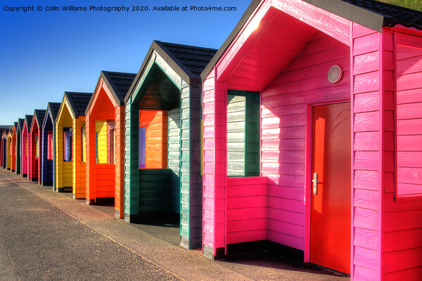 Beach huts at Saltburn-by-the-Sea Picture Board by Colin Williams Photography