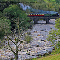 Buy canvas prints of Tornado 60163 crosses the River Ribble 2 by Colin Williams Photography