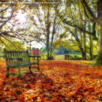 Buy canvas prints of A Bench in The Surrey Hills. by Colin Williams Photography