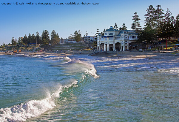 Cottesloe Beach Western Australia Picture Board by Colin Williams Photography