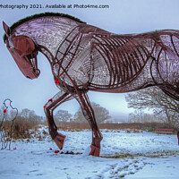Buy canvas prints of The Featherstone War Horse - 5 by Colin Williams Photography