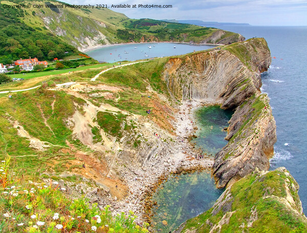 Stair Hole and Lulworth Cove 1 Picture Board by Colin Williams Photography