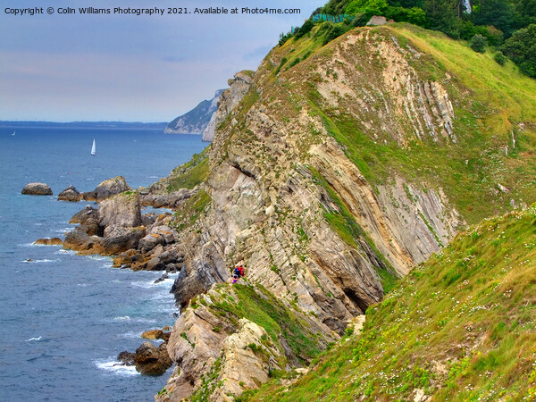 Stair Hole and Lulworth Cove 3 Picture Board by Colin Williams Photography