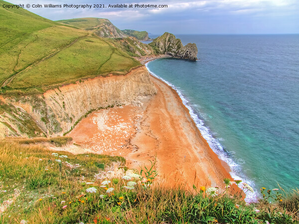 Durdle Door Dorset. Picture Board by Colin Williams Photography