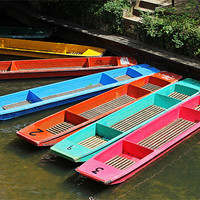 Buy canvas prints of Colourful punts by Tony Murtagh