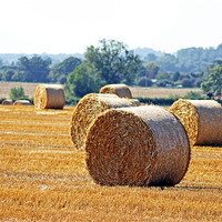 Buy canvas prints of Hay Bales by Tony Murtagh