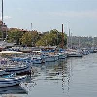Buy canvas prints of Sozopol Harbour by Tony Murtagh
