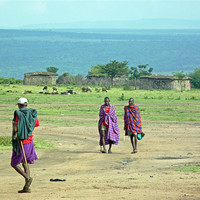 Buy canvas prints of Masai Village Kenya by Tony Murtagh