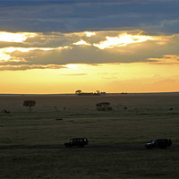 Buy canvas prints of Sun rising over Serengeti by Tony Murtagh