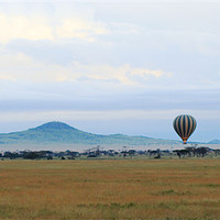 Buy canvas prints of Balloons over Serengeti by Tony Murtagh