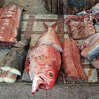 Buy canvas prints of Fish Market by Tony Murtagh