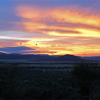 Buy canvas prints of Sun setting over Serengeti by Tony Murtagh