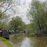 Buy canvas prints of Narrowboats moored on Oxford Canal by Tony Murtagh