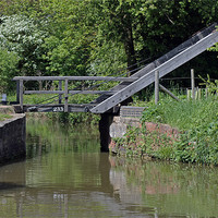 Buy canvas prints of Bridge 233 Oxford Canal by Tony Murtagh