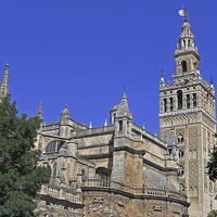 Buy canvas prints of Seville Cathedral by Tony Murtagh