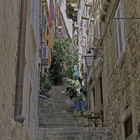 Buy canvas prints of Dubrovnik Steps by Tony Murtagh