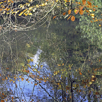 Buy canvas prints of Autumn Reflections by Tony Murtagh