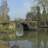 Buy canvas prints of Great Bridge, Warwick by Tony Murtagh
