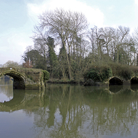 Buy canvas prints of Remains of Old Bridge Warwick by Tony Murtagh