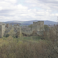 Buy canvas prints of Ludlow Castle by Tony Murtagh