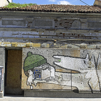 Buy canvas prints of Graffiti in Veliko Tarnovo  by Tony Murtagh