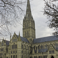 Buy canvas prints of  Salisbury Cathedral by Tony Murtagh