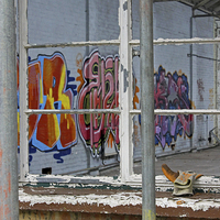 Buy canvas prints of  Grafitti through Window by Tony Murtagh