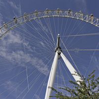 Buy canvas prints of  London Eye  by Tony Murtagh