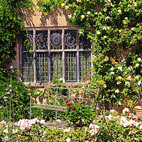 Buy canvas prints of Packwood House Window by Tony Murtagh