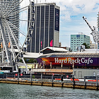Buy canvas prints of Hard Rock Cafe by Tony Murtagh