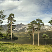 Buy canvas prints of The Pines of Loch Clair by Jamie Green